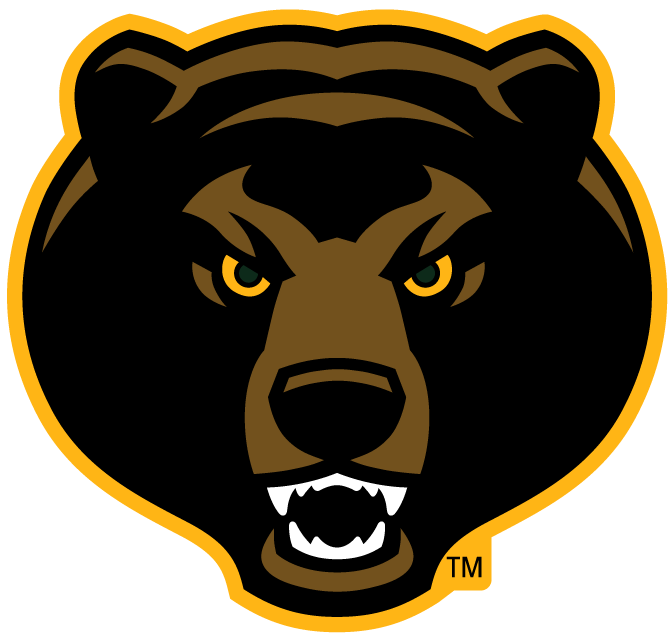 Baylor Bears 2005-Pres Alternate Logo v6 iron on transfers for T-shirts